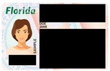 Sample Florida driver license